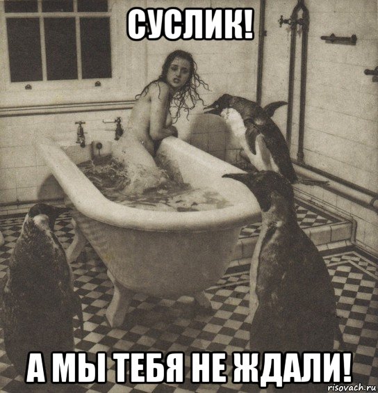 суслик! а мы тебя не ждали!, Мем Столбняк