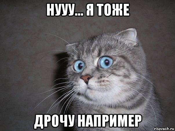 нууу... я тоже дрочу например, Мем  удивлённый кот