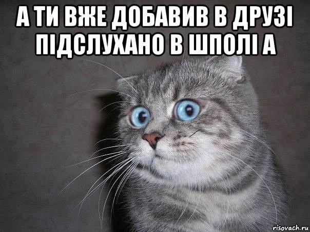 а ти вже добавив в друзі підслухано в шполі а , Мем  удивлённый кот