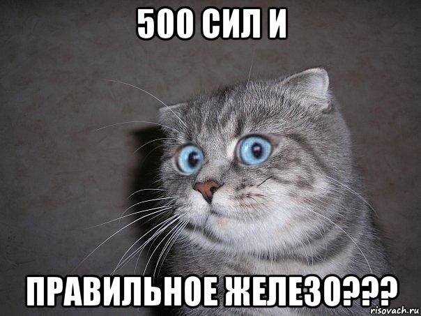 500 сил и правильное железо???, Мем  удивлённый кот