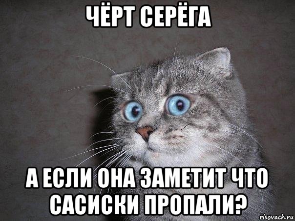 чёрт серёга а если она заметит что сасиски пропали?, Мем  удивлённый кот