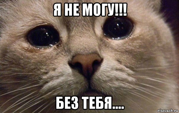 я не могу!!! без тебя....