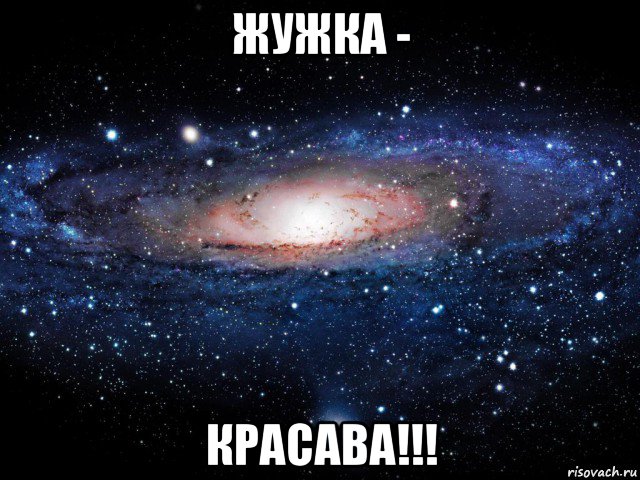 жужка - красава!!!, Мем Вселенная