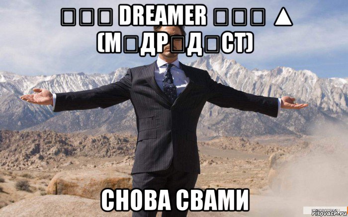 ☜❶☞ dreamer ☜❶☞ ▲ (мลдρนдนcт) снова свами, Мем железный человек