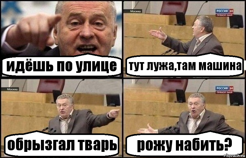 идёшь по улице тут лужа,там машина обрызгал тварь рожу набить?, Комикс Жириновский