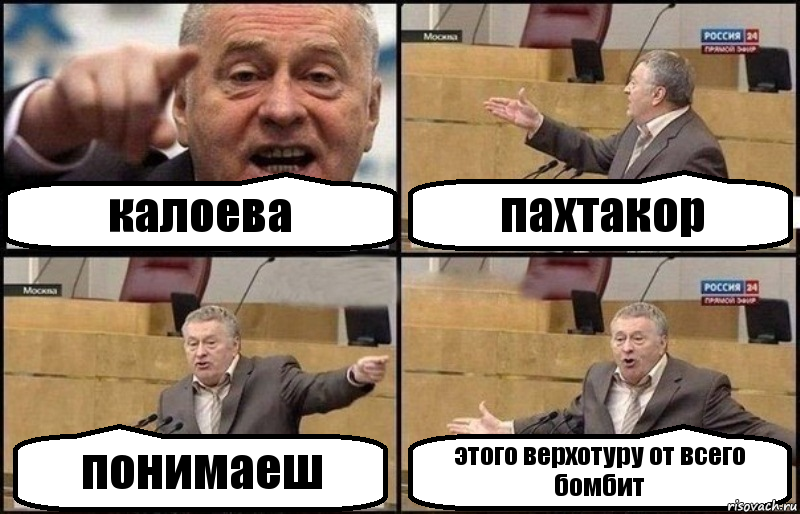 калоева пахтакор понимаеш этого верхотуру от всего бомбит, Комикс Жириновский