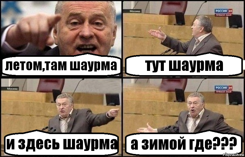 летом,там шаурма тут шаурма и здесь шаурма а зимой где???, Комикс Жириновский