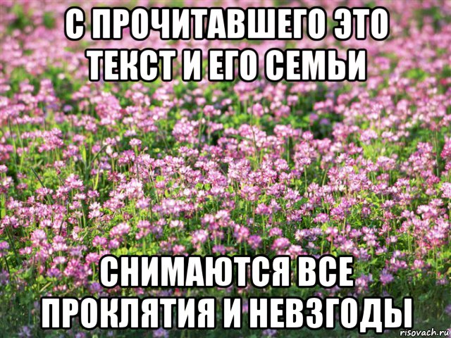 Сними все. Картинка снимающая все проклятия. Освобождаю от проклятия. Защита от проклятий Мем.