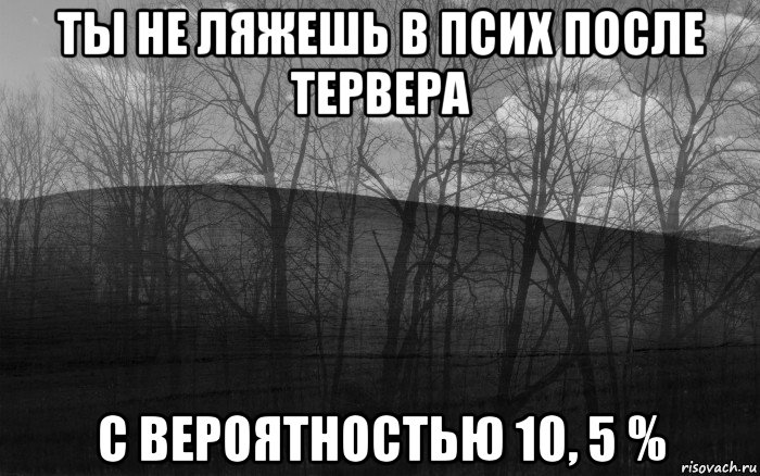 ты не ляжешь в псих после тервера с вероятностью 10, 5 %, Мем безысходность тлен боль