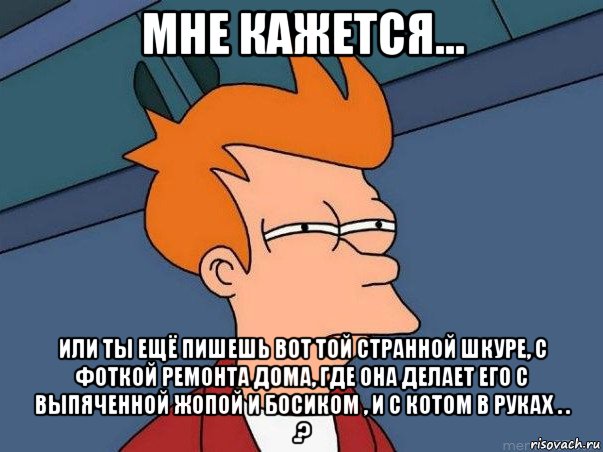 мне кажется... или ты ещё пишешь вот той странной шкуре, с фоткой ремонта дома, где она делает его с выпяченной жопой и босиком , и с котом в руках . . .?, Мем  Фрай (мне кажется или)