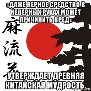 «даже верное средство в неверных руках может причинить вред» утверждает древняя китайская мудрость., Мем Хокку