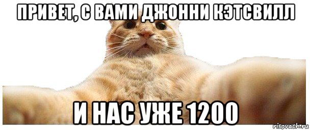 привет, с вами джонни кэтсвилл и нас уже 1200, Мем   Кэтсвилл