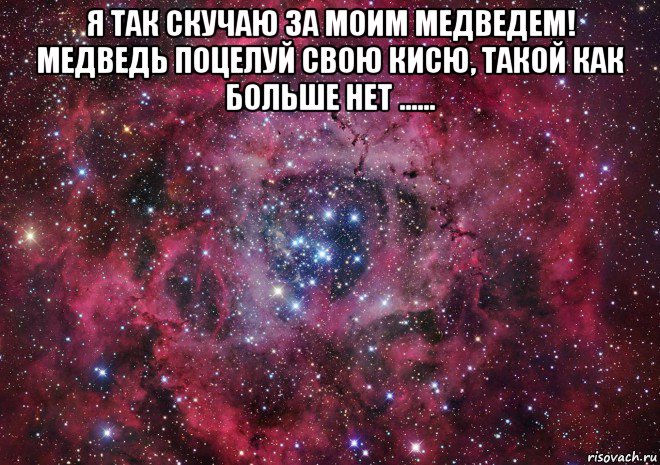 я так скучаю за моим медведем! медведь поцелуй свою кисю, такой как больше нет ...... , Мем Ты просто космос