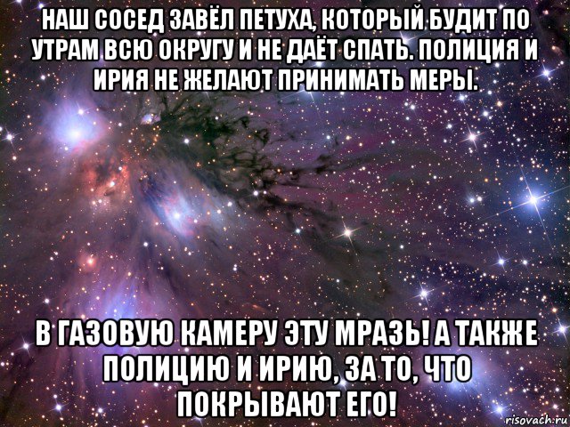 наш сосед завёл петуха, который будит по утрам всю округу и не даёт спать. полиция и ирия не желают принимать меры. в газовую камеру эту мразь! а также полицию и ирию, за то, что покрывают его!, Мем Космос