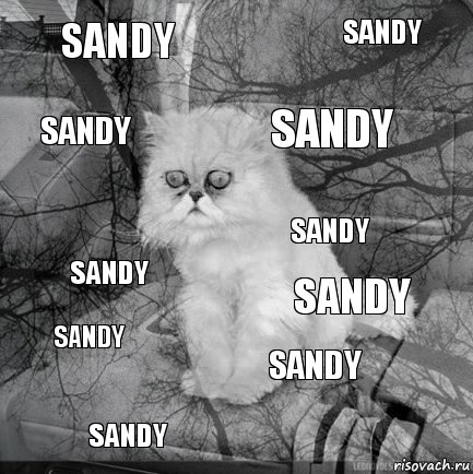 Sandy sandy sandy sandy sandy sandy sandy sandy sandy sandy, Комикс  кот безысходность