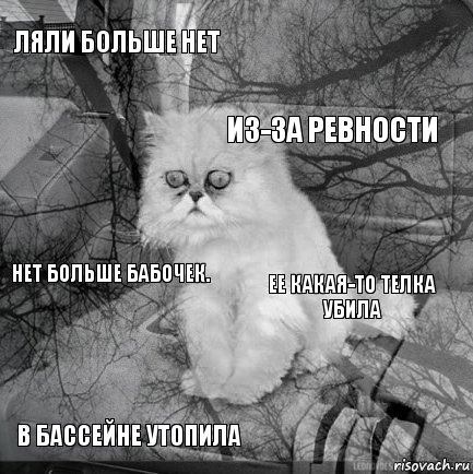 ЛяЛи больше нет Ее какая-то телка убила Из-за ревности В бассейне утопила Нет больше бабочек.     , Комикс  кот безысходность