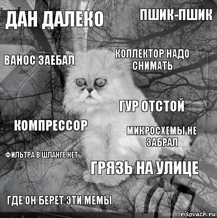 дан далеко микросхемы не забрал коллектор надо снимать где он берет эти мемы компрессор пшик-пшик грязь на улице ванос заебал фильтра в шланге нет гур отстой, Комикс  кот безысходность