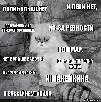 ЛяЛи больше нет Ее какая-то телка убила Из-за ревности В бассейне утопила Нет больше бабочек. И Лени нет, И Макейкина Во вторник уже переводную пишем. По Алгебре пипец сложно. Кошмар., Комикс  кот безысходность