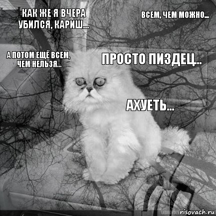 Как же я вчера убился, Кариш...  просто пиздец...   всем, чем можно...  а потом ещё всем, чем нельзя...  Ахуеть..., Комикс  кот безысходность