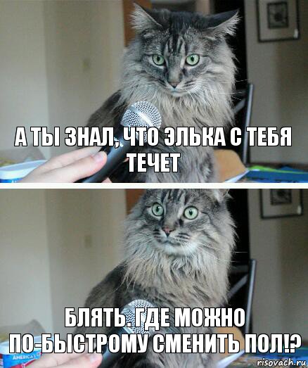 А ты знал, что Элька с тебя течет Блять. Где можно по-быстрому сменить пол!?, Комикс  кот с микрофоном