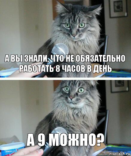 а вы знали, что не обязательно работать 8 часов в день а 9 можно?, Комикс  кот с микрофоном