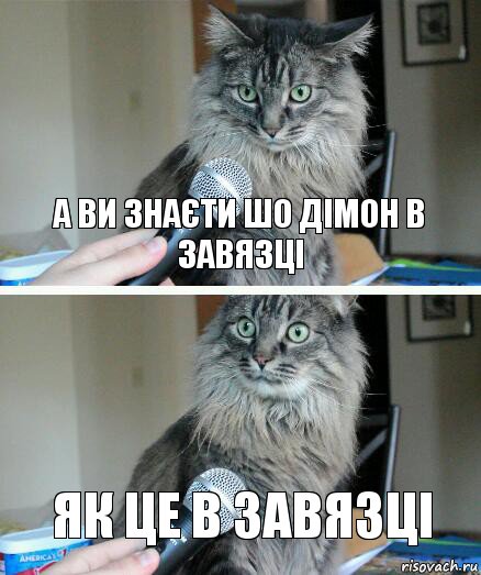 А ви знаєти шо Дімон в завязці як це в завязці, Комикс  кот с микрофоном