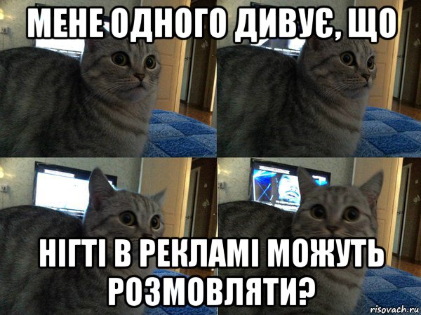 мене одного дивує, що нігті в рекламі можуть розмовляти?, Мем  Кот в шоке