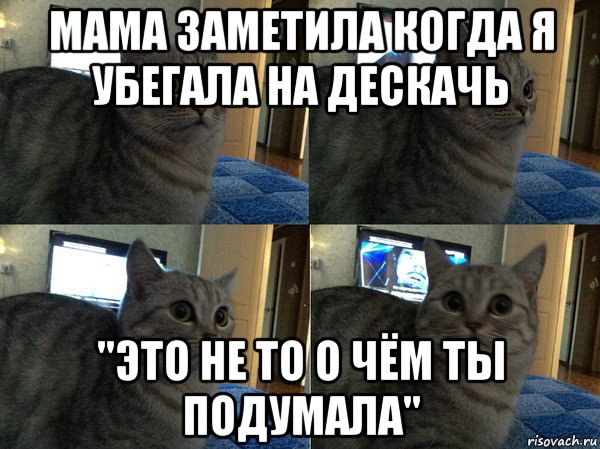 мама заметила когда я убегала на дескачь "это не то о чём ты подумала", Мем  Кот в шоке