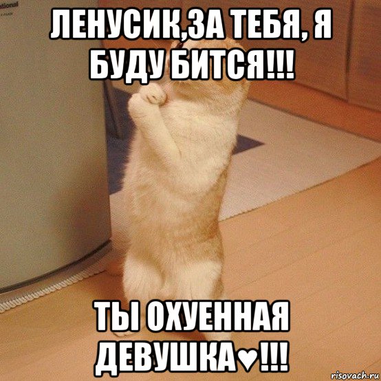 ленусик,за тебя, я буду бится!!! ты охуенная девушка♥!!!, Мем  котэ молится