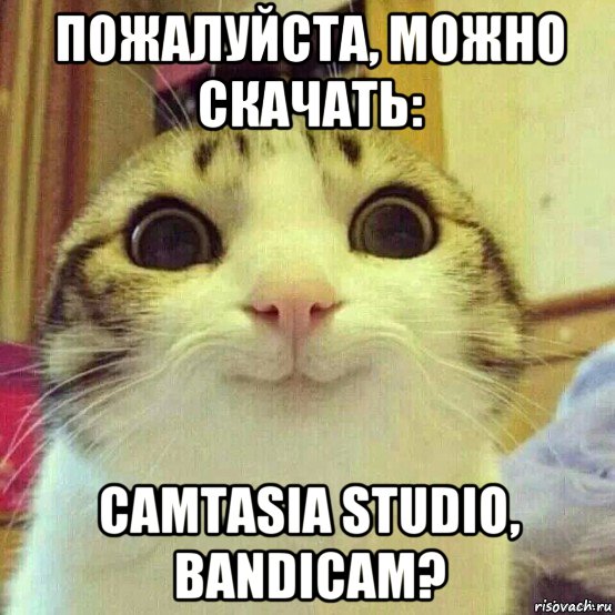 пожалуйста, можно скачать: camtasia studio, bandicam?, Мем       Котяка-улыбака