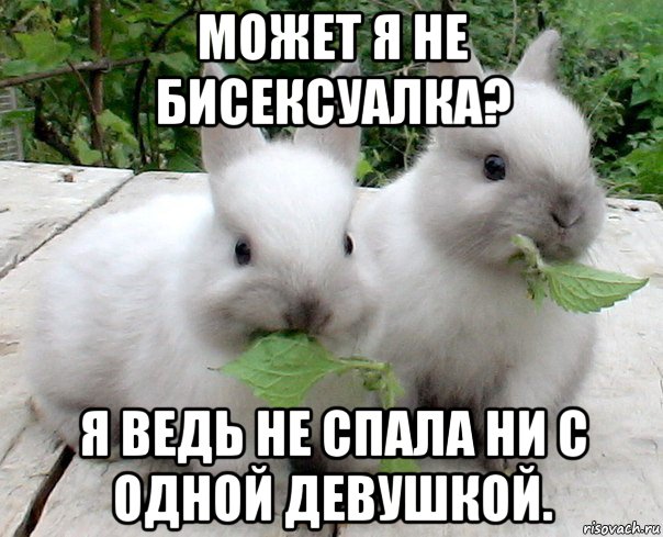 Ни поспать ни. Мемы с кроликами. Странный кролик Мем. Смешные мемы про кроликов. Мемы кролик девочка.