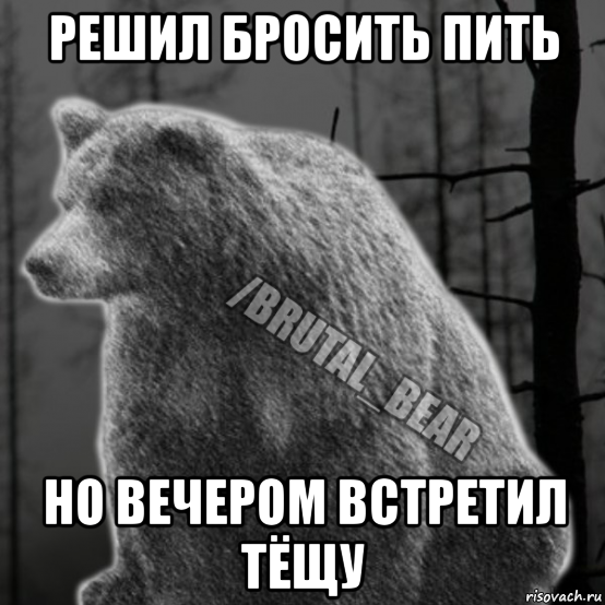 Решала кидала. Медведь Мем. Мемы с медведем. Медведь меланхолик.