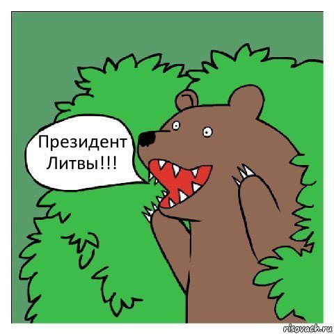 Президент Литвы!!!, Комикс Медведь (шлюха)