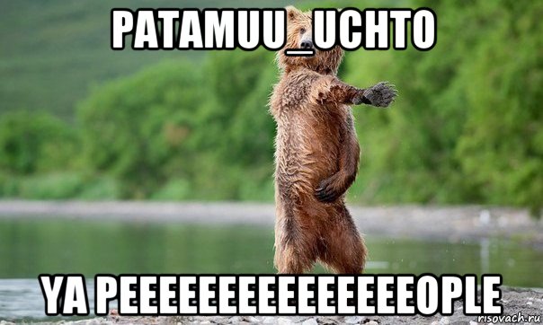 patamuu_uchto ya peeeeeeeeeeeeeeeople, Мем Медвед танцует