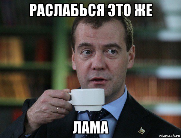 раслабься это же лама, Мем Медведев спок бро