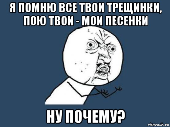 я помню все твои трещинки, пою твои - мои песенки ну почему?, Мем Ну почему