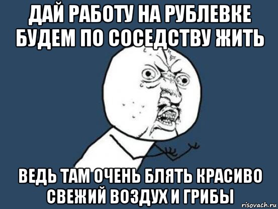 дай работу на рублевке будем по соседству жить ведь там очень блять красиво свежий воздух и грибы, Мем Ну почему