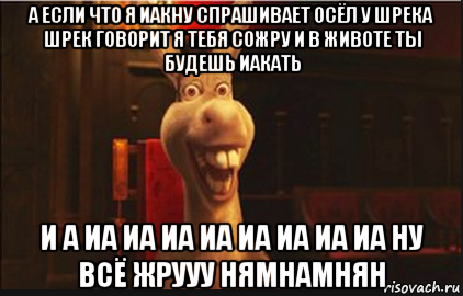 а если что я иакну спрашивает осёл у шрека шрек говорит я тебя сожру и в животе ты будешь иакать и а иа иа иа иа иа иа иа иа ну всё жрууу нямнамнян, Мем Осел из Шрека