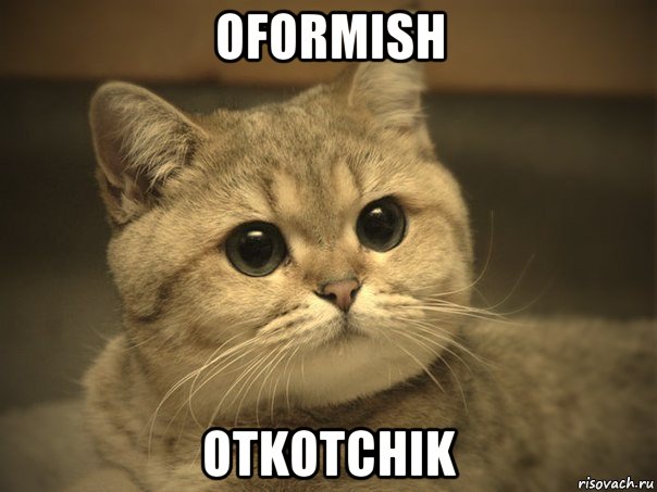 oformish otkotchik, Мем Пидрила ебаная котик