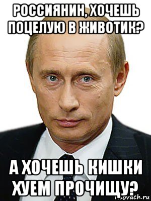 россиянин, хочешь поцелую в животик? а хочешь кишки хуем прочищу?, Мем Путин