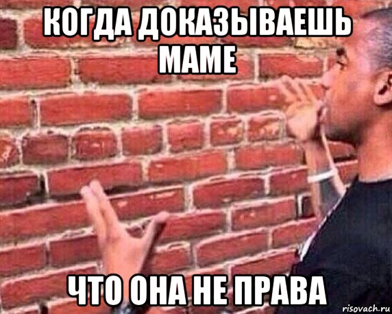 когда доказываешь маме что она не права, Мем разговор со стеной