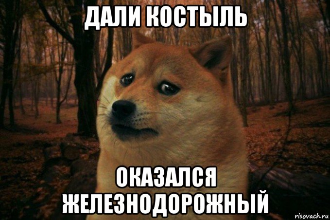 дали костыль оказался железнодорожный, Мем SAD DOGE