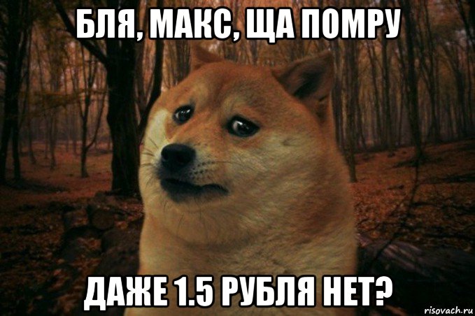 бля, макс, ща помру даже 1.5 рубля нет?, Мем SAD DOGE