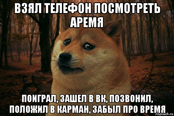 взял телефон посмотреть аремя поиграл, зашел в вк, позвонил, положил в карман, забыл про время, Мем SAD DOGE