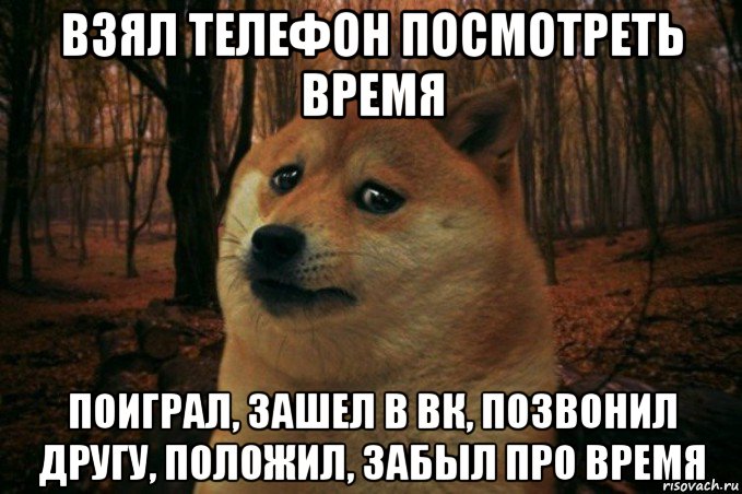 взял телефон посмотреть время поиграл, зашел в вк, позвонил другу, положил, забыл про время, Мем SAD DOGE