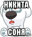 никита соня