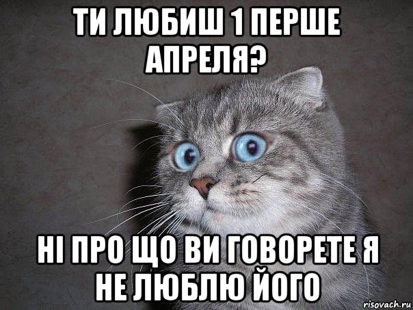 ти любиш 1 перше апреля? ні про що ви говорете я не люблю його, Мем  удивлённый кот