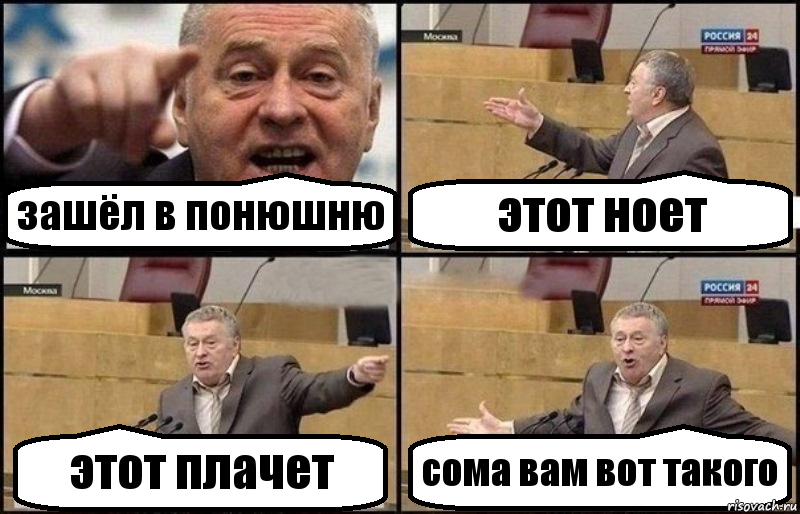 зашёл в понюшню этот ноет этот плачет сома вам вот такого, Комикс Жириновский