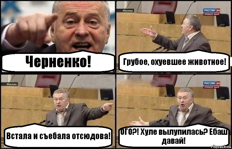 Черненко! Грубое, охуевшее животное! Встала и съебала отсюдова! ОГО?! Хуле вылупилась? Ебаш давай!, Комикс Жириновский