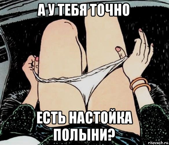 а у тебя точно есть настойка полыни?, Мем А ты точно